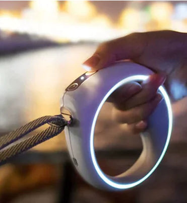 Smart Leash for Pets